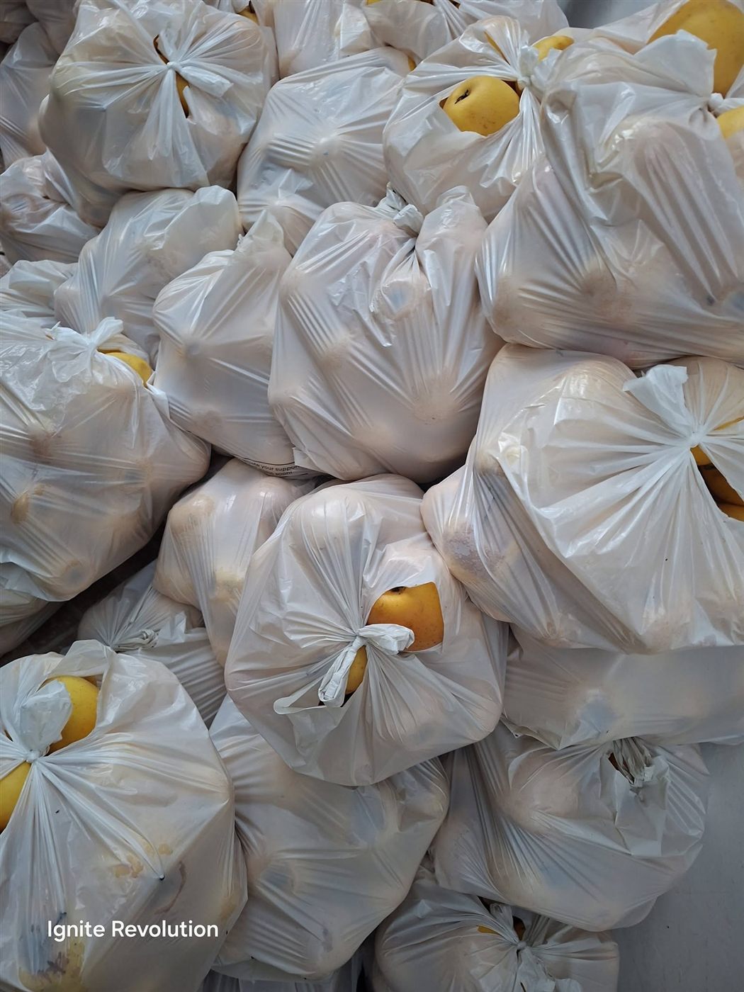 Food parcels ready to go