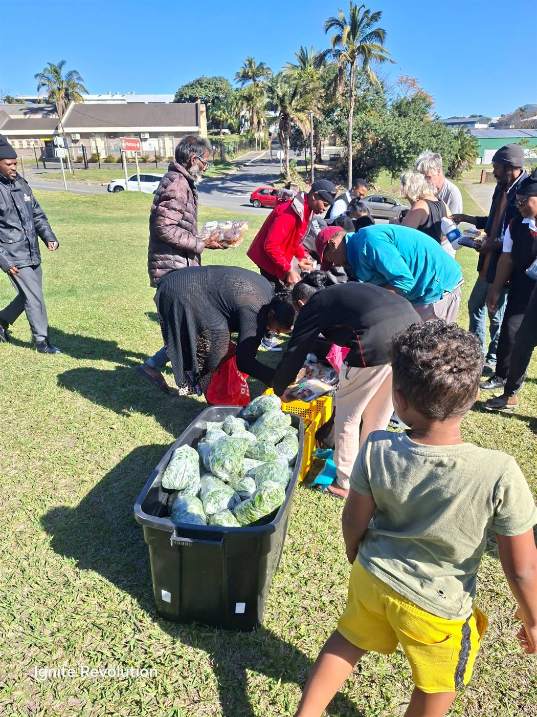 Fresh cabbage for the community